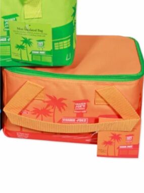 Trader Joe's Mini Insulated Cooler Bag - Orange & Lime